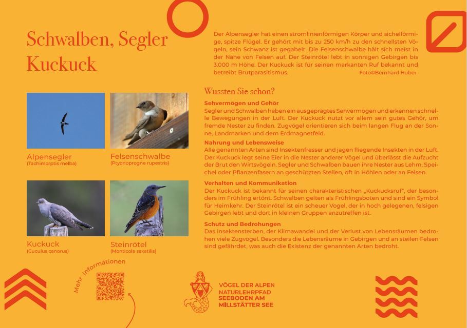 Sie sehen die Tafel mit allen Informationen. Der QR- Code führt vom Lehrpfad auf diese Seite um alle Informationen zu erhalten.