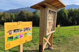 Sie sehen das Insektenhotel aus Holz mit einer Tafel die eihgens dafür entworfen wurden.