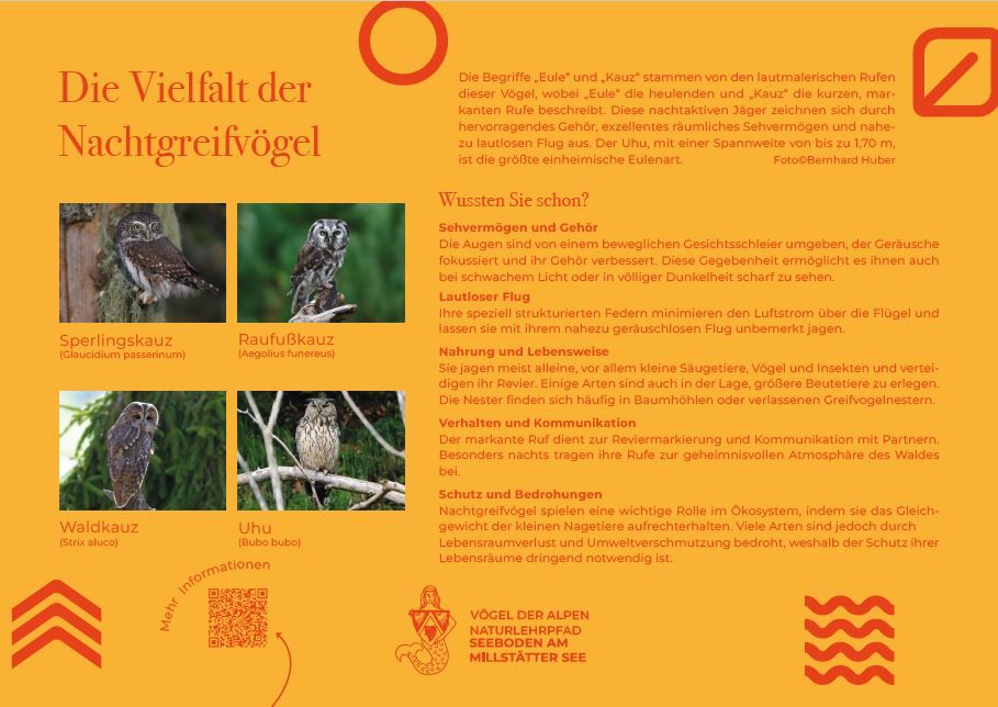 Sie sehen die Tafel mit allen Informationen. Der QR- Code führt vom Lehrpfad auf diese Seite um alle Informationen zu erhalten.